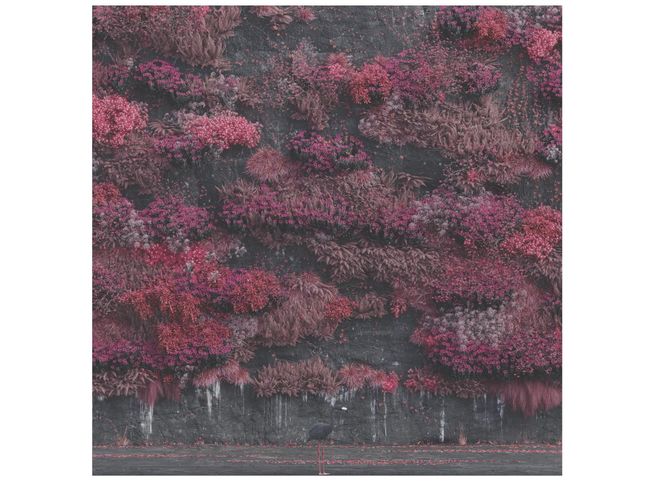 Sleep Token's Even in Arcadia album cover