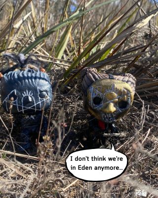 ii and iii outside in the australian wilderness